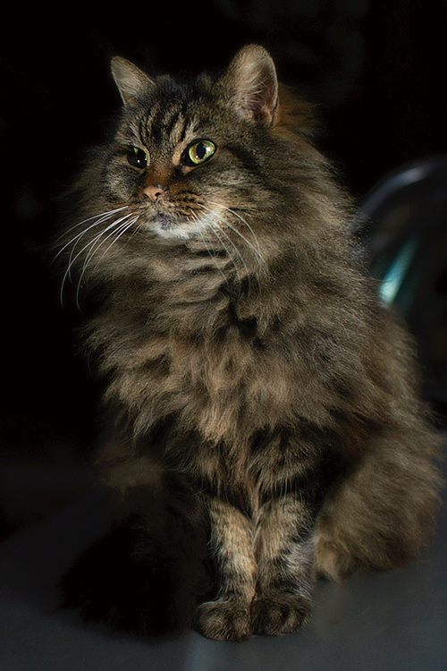 DSC_2627b.jpg